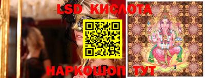 apvp Гусев